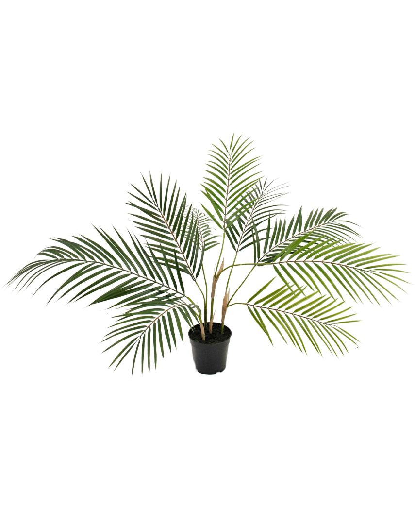 Künstliche Palme Chamaedorea 83 cm