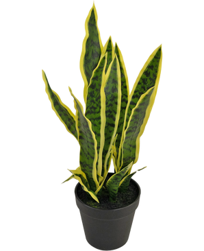 Kunstpflanze Sansevieria Laurentii 44 cm im Ziertopf