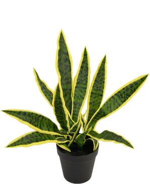 Kunstpflanze Sansevieria Laurentii 44 cm im Ziertopf