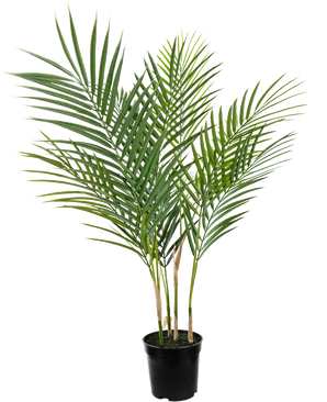 Künstliche Palme Chamaedorea 71 cm