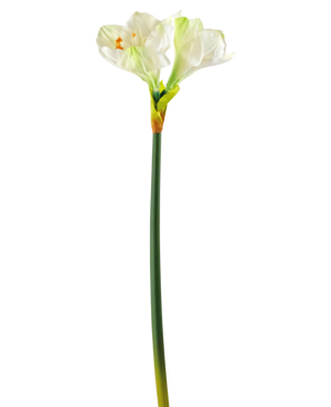 Künstliche Blume Amaryllis weiß 66 cm