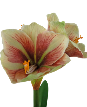 Künstliche Blume Amaryllis Rot/Gelb 48 cm