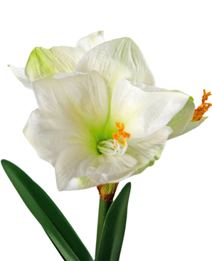 Künstliche Blume Amaryllis weiß 48 cm