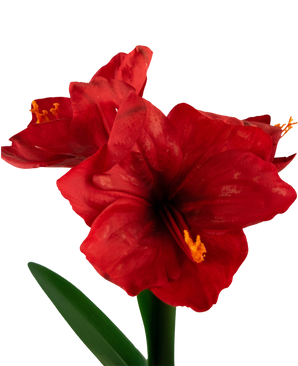 Künstliche Blume Amaryllis rot 48 cm