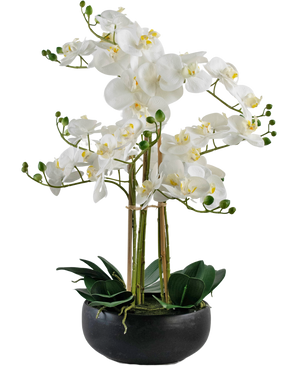 Künstliche Orchidee Real Touch 50 cm weiß im Topf schwarz