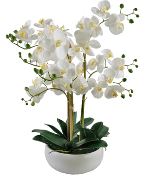 Künstliche Orchidee Real Touch 50 cm weiß im Topf weiß