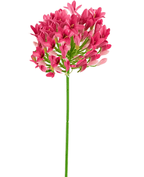 Künstliche Blume Agapanthus 75 cm rosa