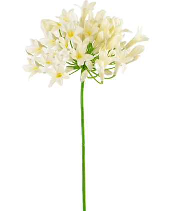 Künstliche Blume Agapanthus 75 cm weiß