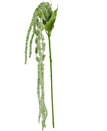 Künstliche Blume Amaranthus 122 cm grün