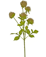 Künstliche Blume Distel 66 cm braun