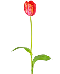 Künstliche Blume Französische Tulpe 60 cm rot