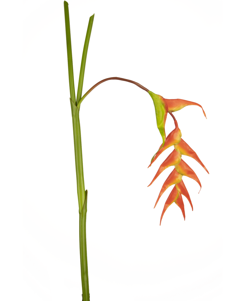 Künstliche Blume Heliconia 120 cm rot