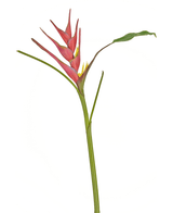 Künstliche Blume Heliconia 90 cm fuchsie