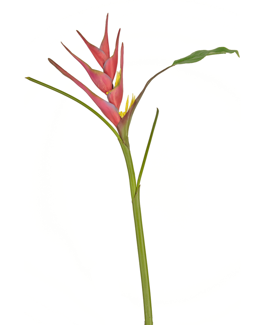 Künstliche Blume Heliconia 90 cm fuchsie