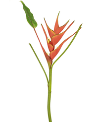 Künstliche Blume Heliconia 90 cm rot