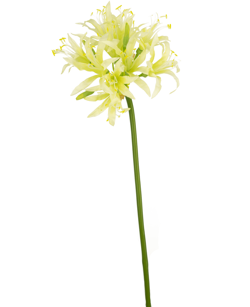 Künstliche Blume Nerine 70 cm grün