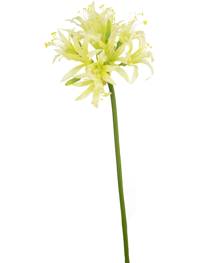 Künstliche Blume Nerine 70 cm grün