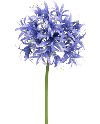 Künstliche Blume Nerine 70 cm lila