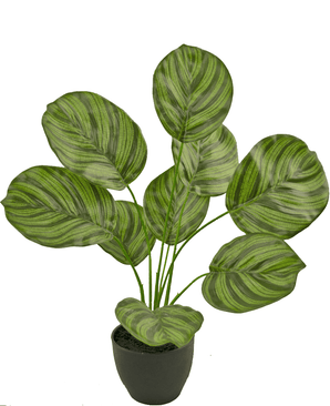 Künstliche Calathea 48 cm im Ziertopf schwarz