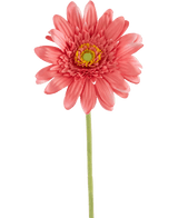 Künstliche Gerbera 53 cm rosa