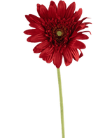 Künstliche Gerbera 53 cm rot