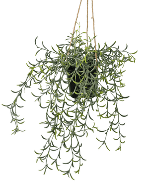 Künstliche Hängepflanze Senecio mit Topf 35 cm