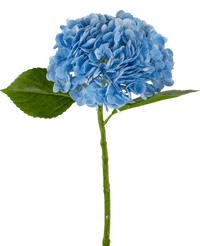 Künstliche Hortensie "Annabelle" Real Touch Blau 55cm