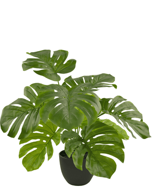 Künstliche Monstera 55 cm in dekorativem Topf schwarz