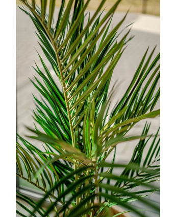 Künstliche Palme Areca 150 cm