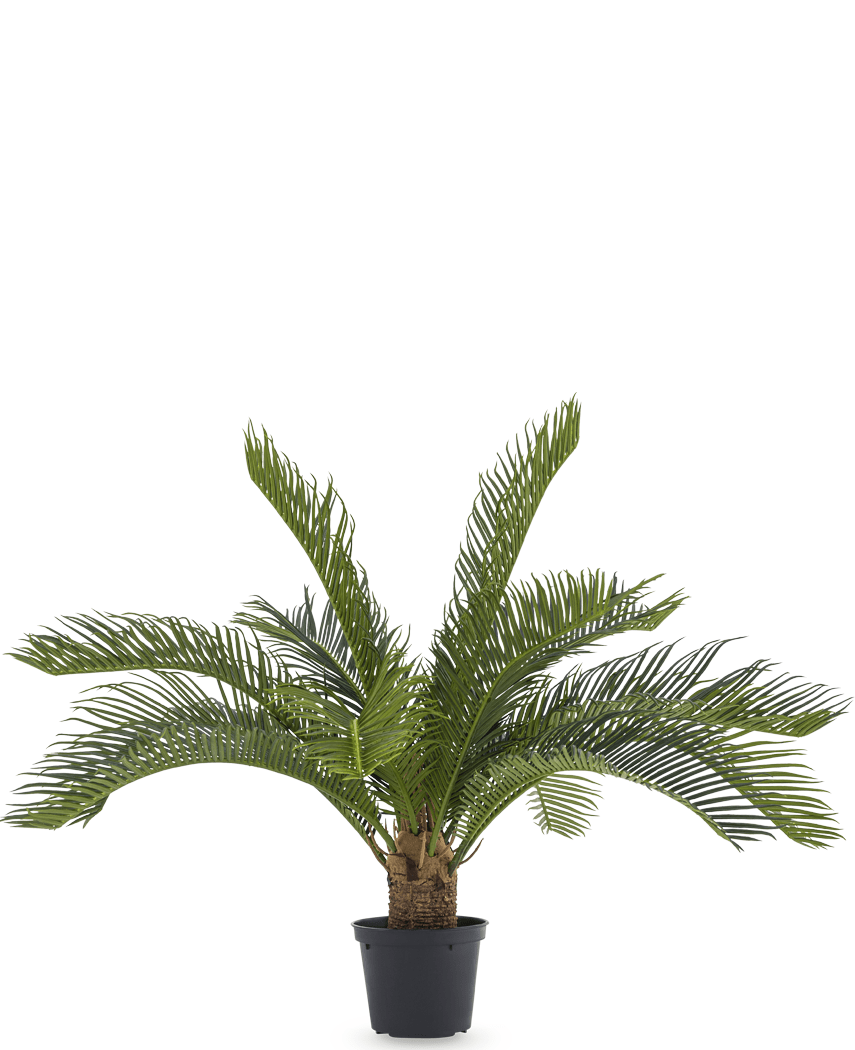 Künstliche Palme Baby Cycus 45 cm