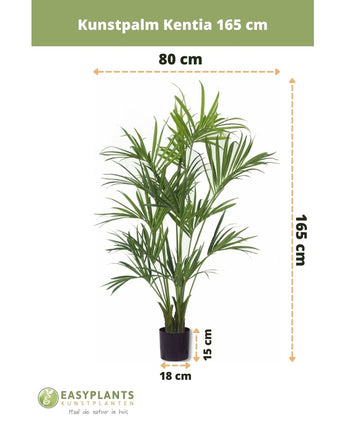 Künstliche Palme Kentia 165 cm