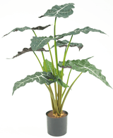 Künstliche Pflanze Alocasia 67 cm