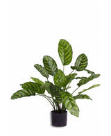 Künstliche Pflanze Calathea Makoyana 60 cm