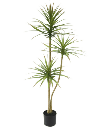 Künstliche Pflanze Dracaena Fragnans 150 cm