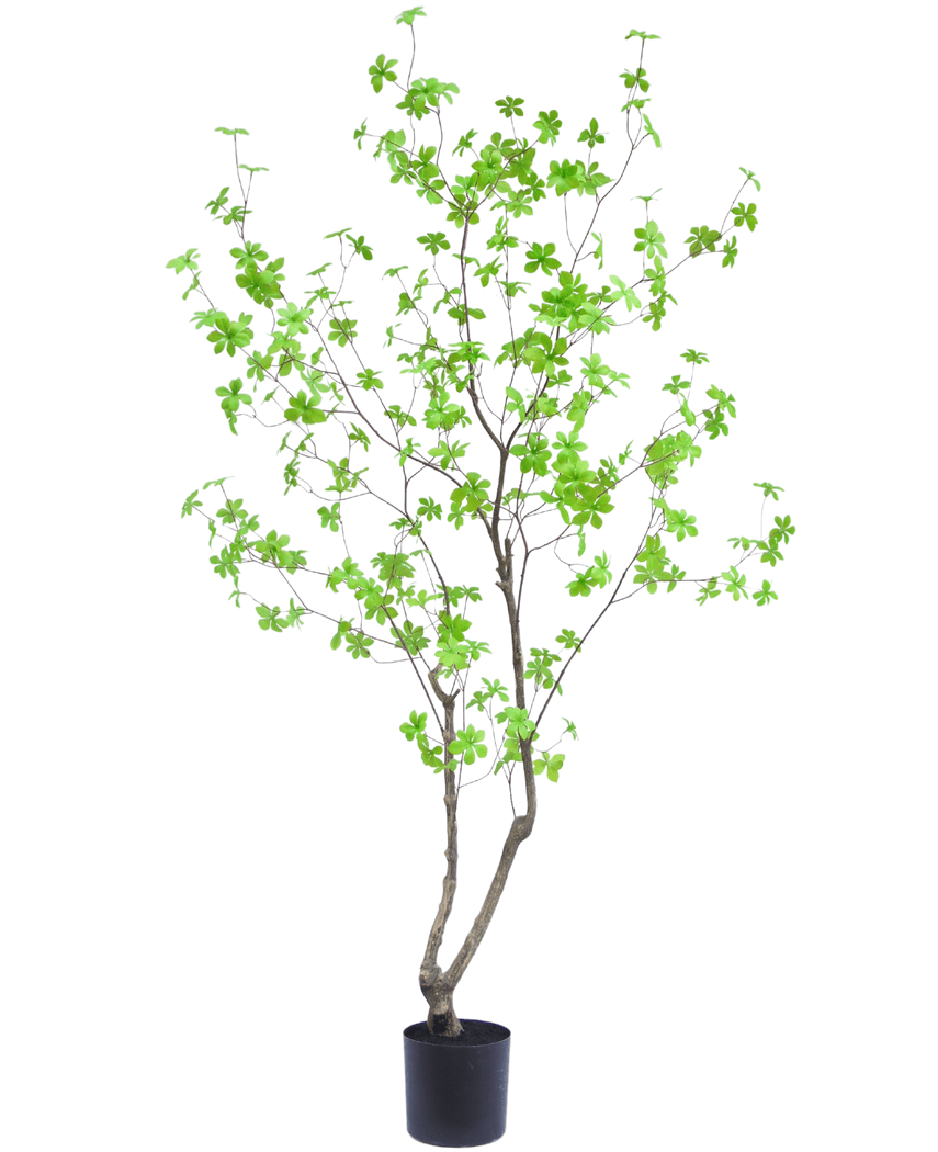 Künstliche Pflanze Enkianthus 180 cm