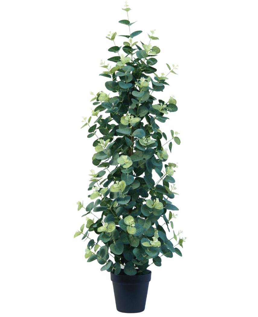 Künstliche Pflanze Eukalyptus 91 cm