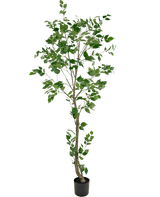 Künstliche Pflanze Ficus 210 cm