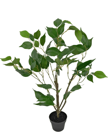 Künstliche Pflanze Ficus 60 cm