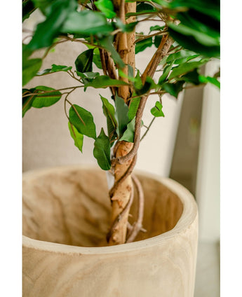 Künstliche Pflanze Ficus Grün 120 cm