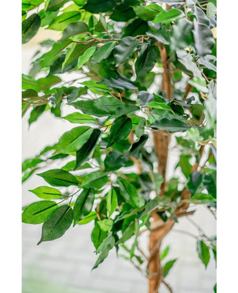 Künstliche Pflanze Ficus Grün 150 cm