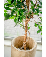 Künstliche Pflanze Ficus Grün 150 cm