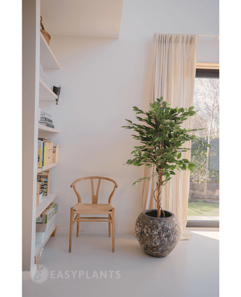 Künstliche Pflanze Ficus Grün 150 cm