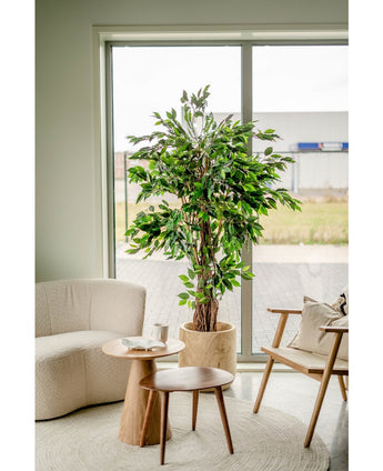 Künstliche Pflanze Ficus Tropical Liana 180 cm