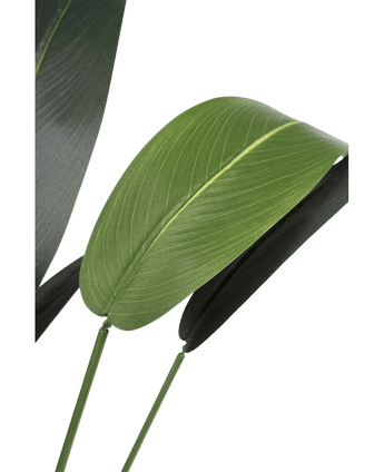 Künstliche Pflanze Heliconia 110 cm