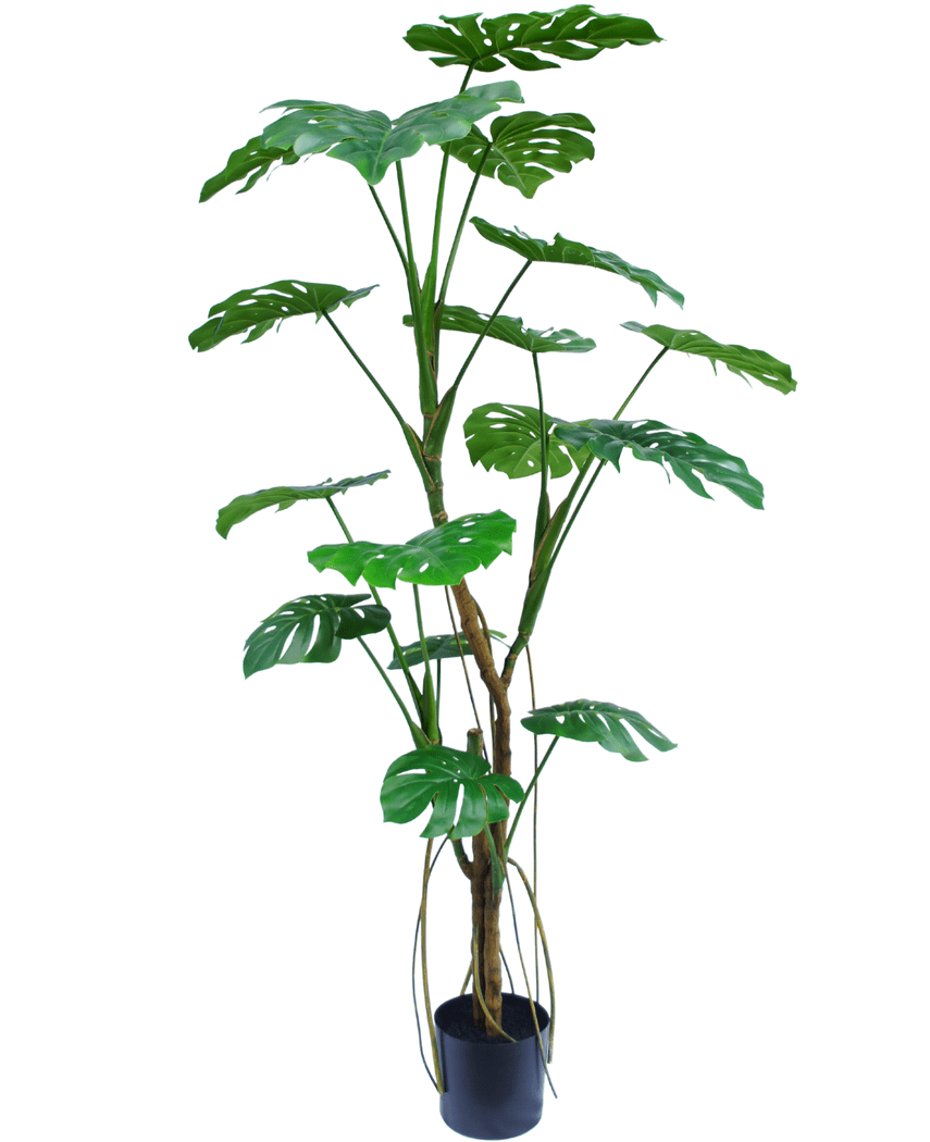 Künstliche Pflanze Monstera 180 cm