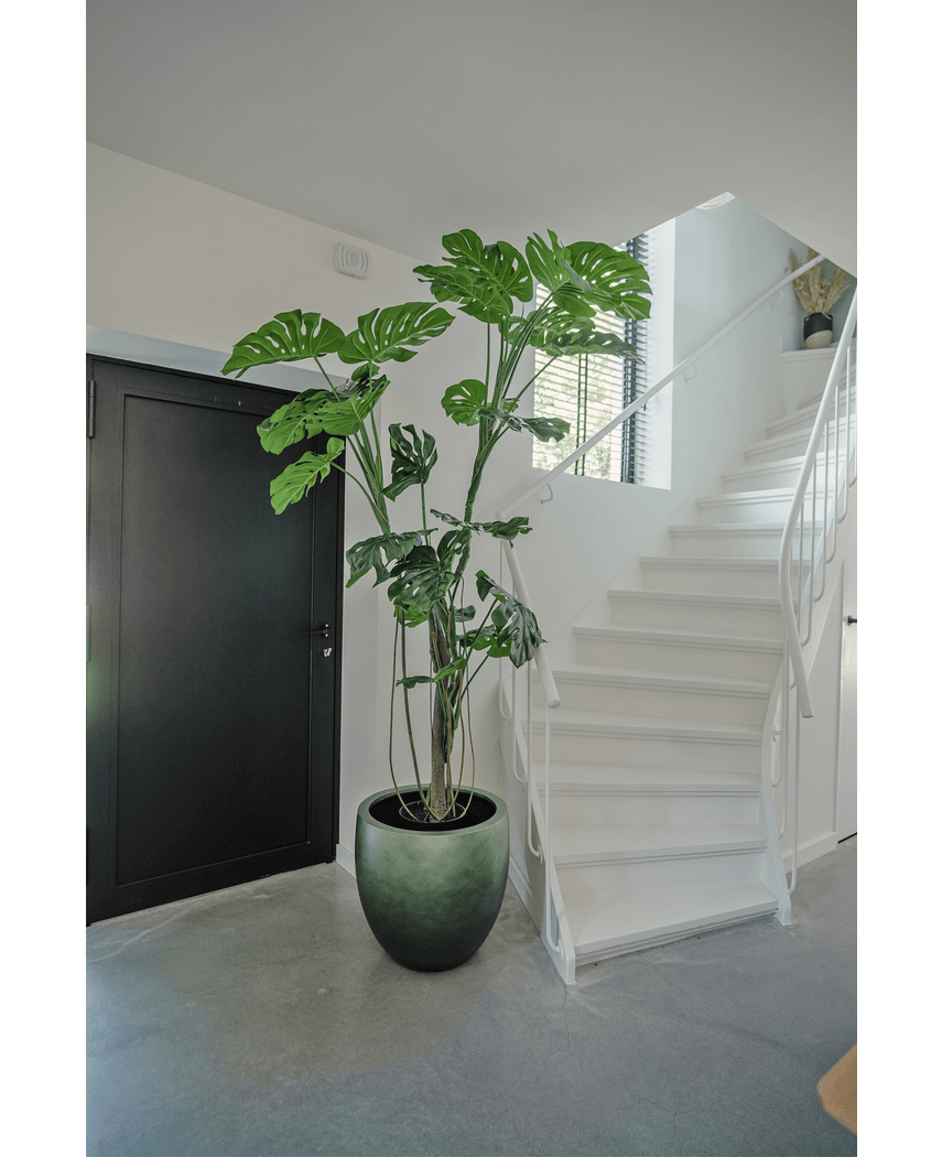 Künstliche Pflanze Monstera 210 cm