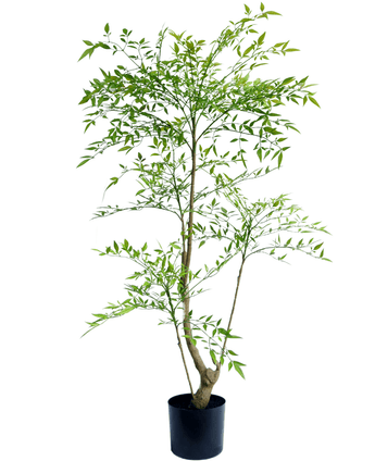 Künstliche Pflanze Ruscus 120 cm