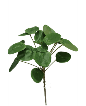 Künstliche Pilea Pancake Pflanze 50 cm