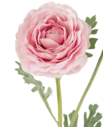 Künstliche Ranunkel Real Touch Rosa 60cm