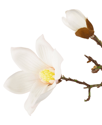 Künstlicher Magnolienzweig Real Touch Weiß 98cm